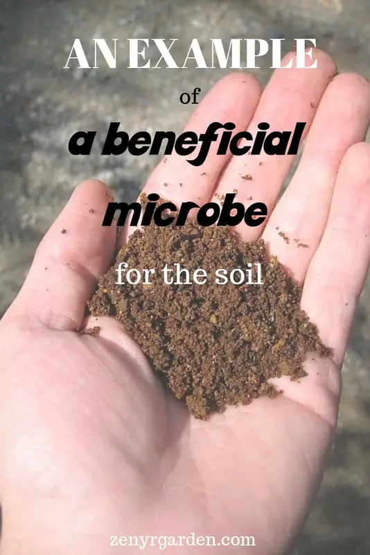 What Are Beneficial An Example